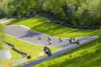 brands-hatch-photographs;brands-no-limits-trackday;cadwell-trackday-photographs;enduro-digital-images;event-digital-images;eventdigitalimages;no-limits-trackdays;peter-wileman-photography;racing-digital-images;trackday-digital-images;trackday-photos